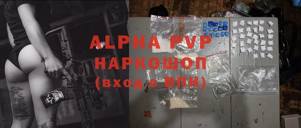 PSILOCYBIN Новозыбков