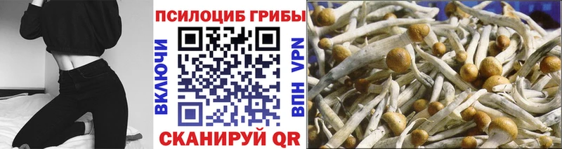 Псилоцибиновые грибы MAGIC MUSHROOMS  Орлов 