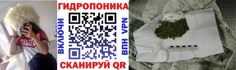 Бошки Шишки White Widow  mega tor  Орлов 